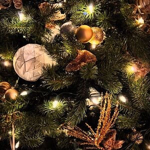 Meet your Posher, Audra